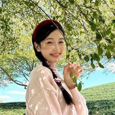 夏绿蒂的网