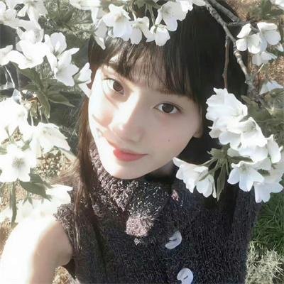 没有荣誉