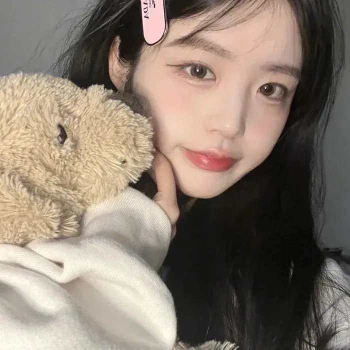 最后的维米尔